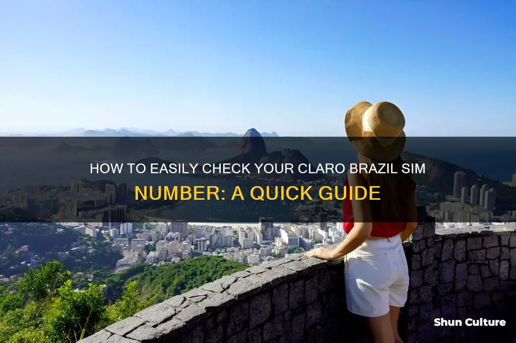 how to check claro brazil sim number