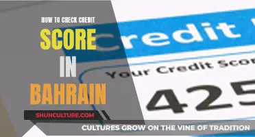 Credit Score Check: Bahrain's Quick Guide