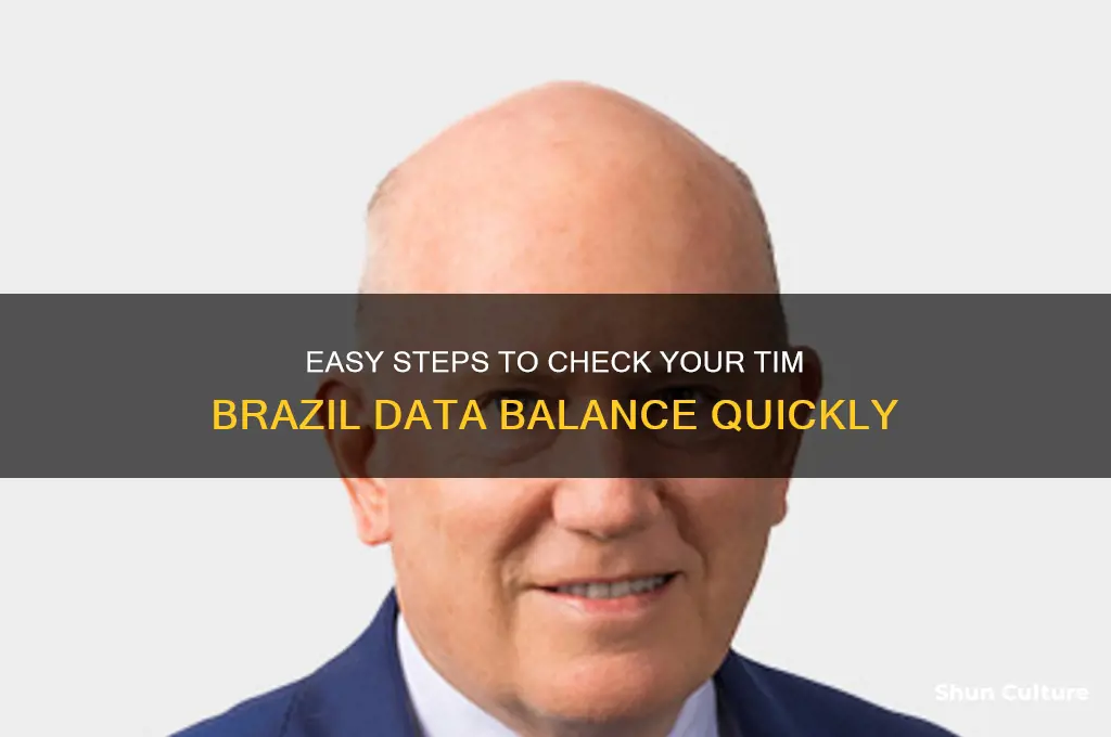 how to check data balance in tim brazil