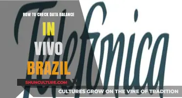 How to Easily Check Your Vivo Brazil Data Balance