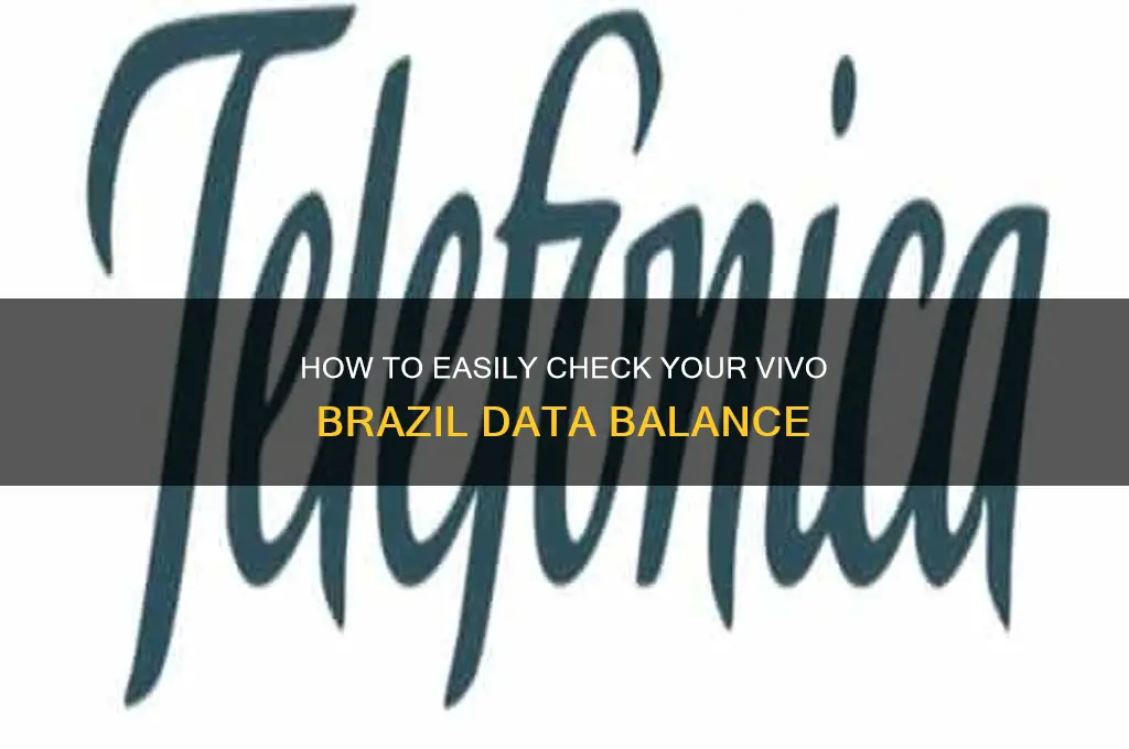 how to check data balance in vivo brazil