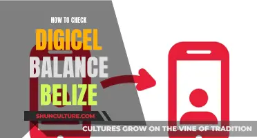 Digicel Belize: Checking Your Balance, Made Easy