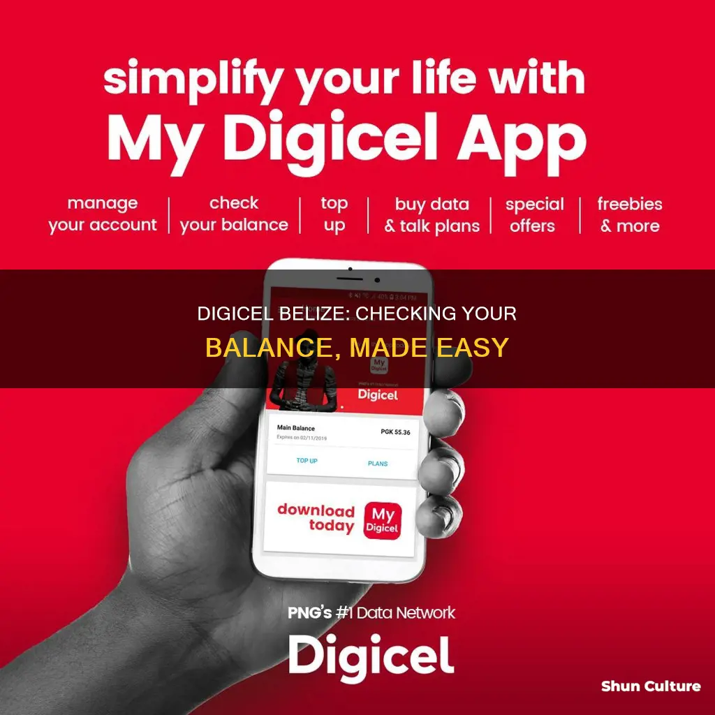 how to check digicel balance belize