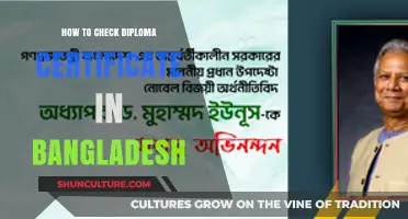 Verify Your Diploma Certificate in Bangladesh: A Step-by-Step Guide