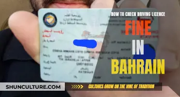 Checking Driving Licence Fines in Bahrain: A Quick Guide