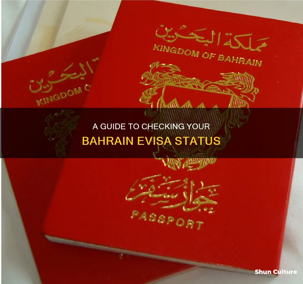 how to check e visa bahrain