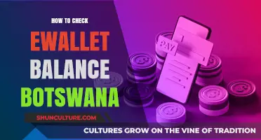 How to Easily Check Your Ewallet Balance in Botswana