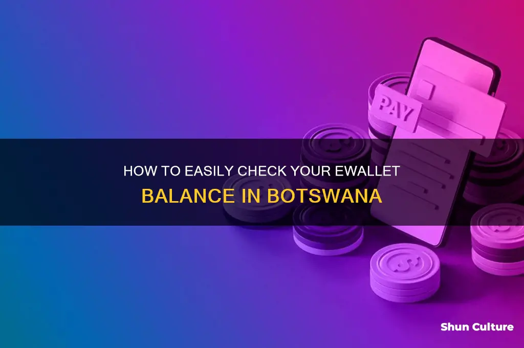 how to check ewallet balance botswana