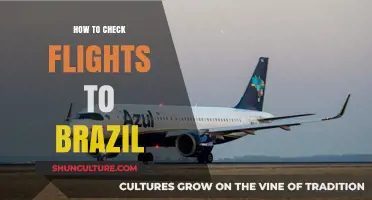 Discovering Brazil: A Step-by-Step Guide to Finding Flights