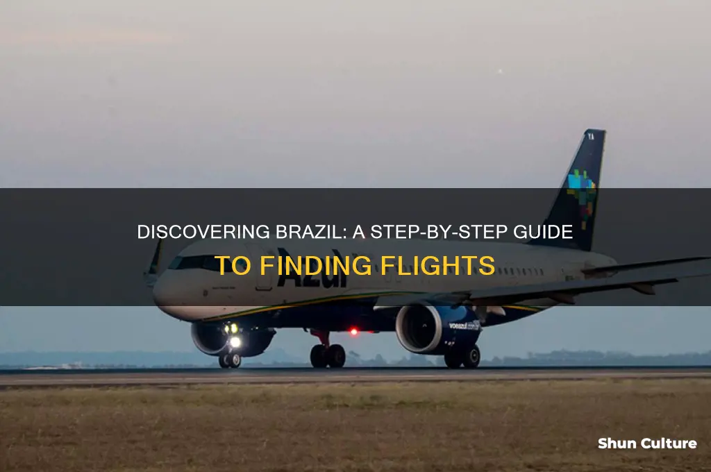 how to check flights to brazil