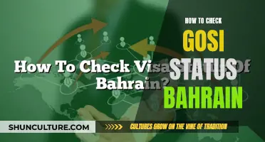 GOSI Status Check: A Guide for Expats in Bahrain