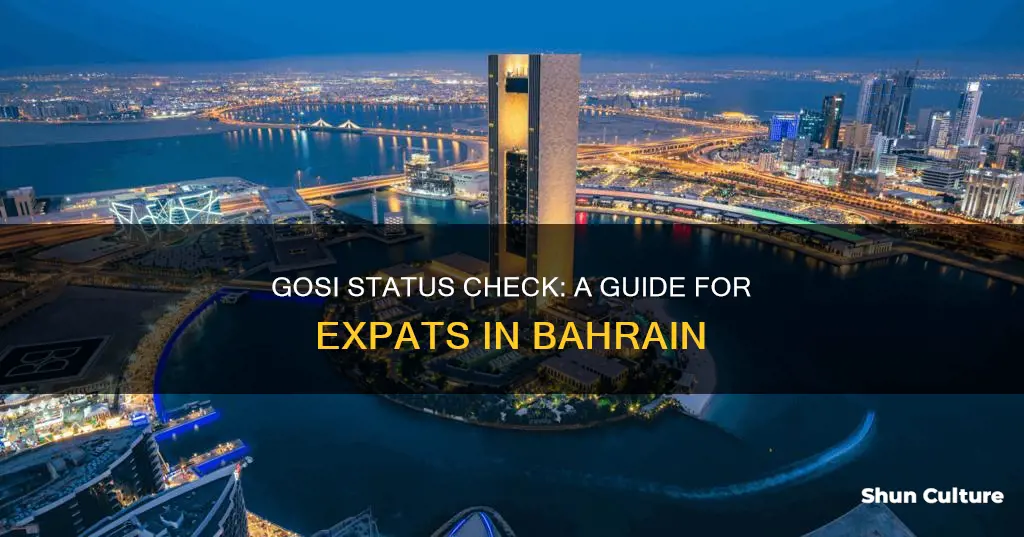 how to check gosi status bahrain