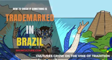 How to Verify Trademark Registration in Brazil: A Step-by-Step Guide