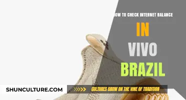 How to Check Internet Balance on Vivo Brazil: A Quick Guide