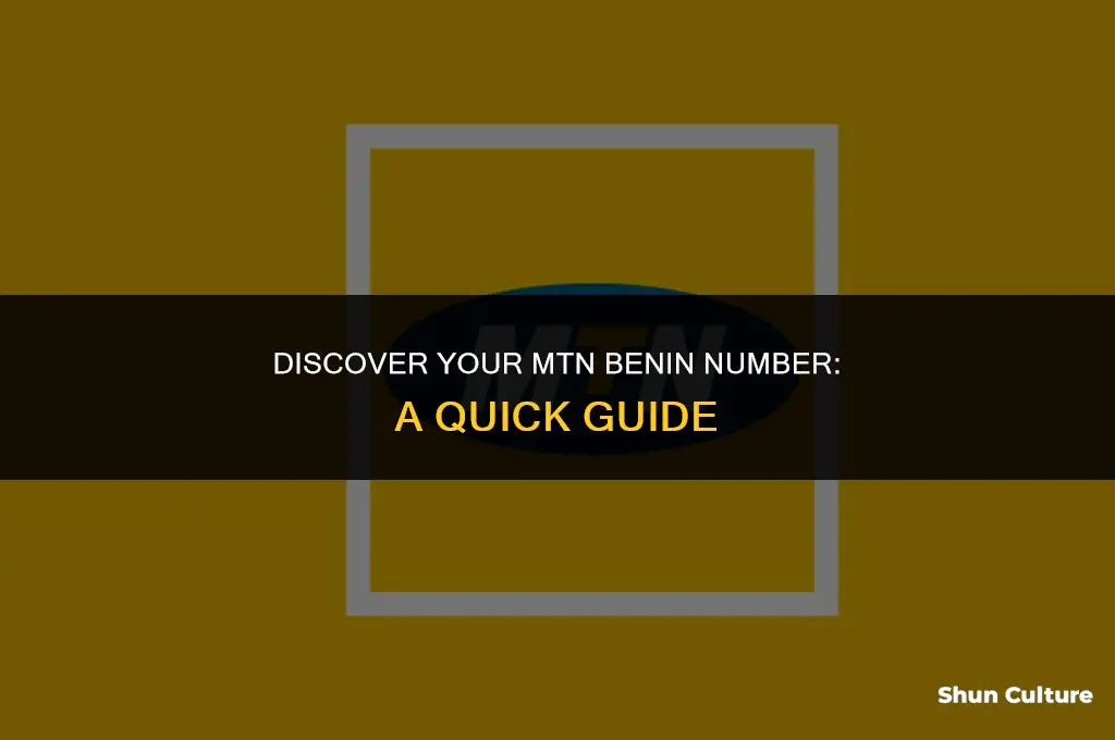 how to check my mtn benin number