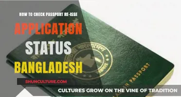 Track Your Bangladesh Passport Re-Issue Application Status Easily Online