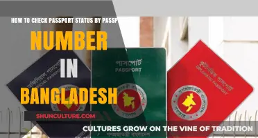 Track Your Bangladesh Passport Status Using Passport Number Easily
