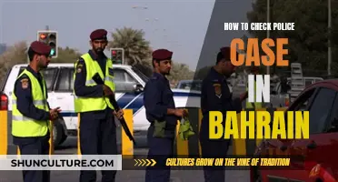 Police Cases: Bahrain Checks and Balances