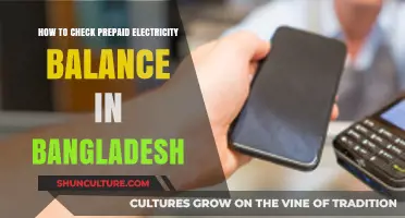 Easy Steps to Check Prepaid Electricity Balance in Bangladesh