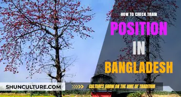 Track Your Train: Easy Steps to Check Train Position in Bangladesh