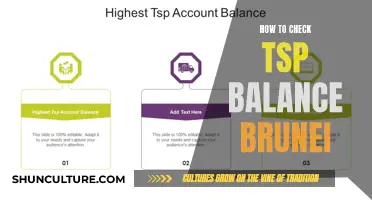 Checking Your TSP Balance: A Guide for Bruneians