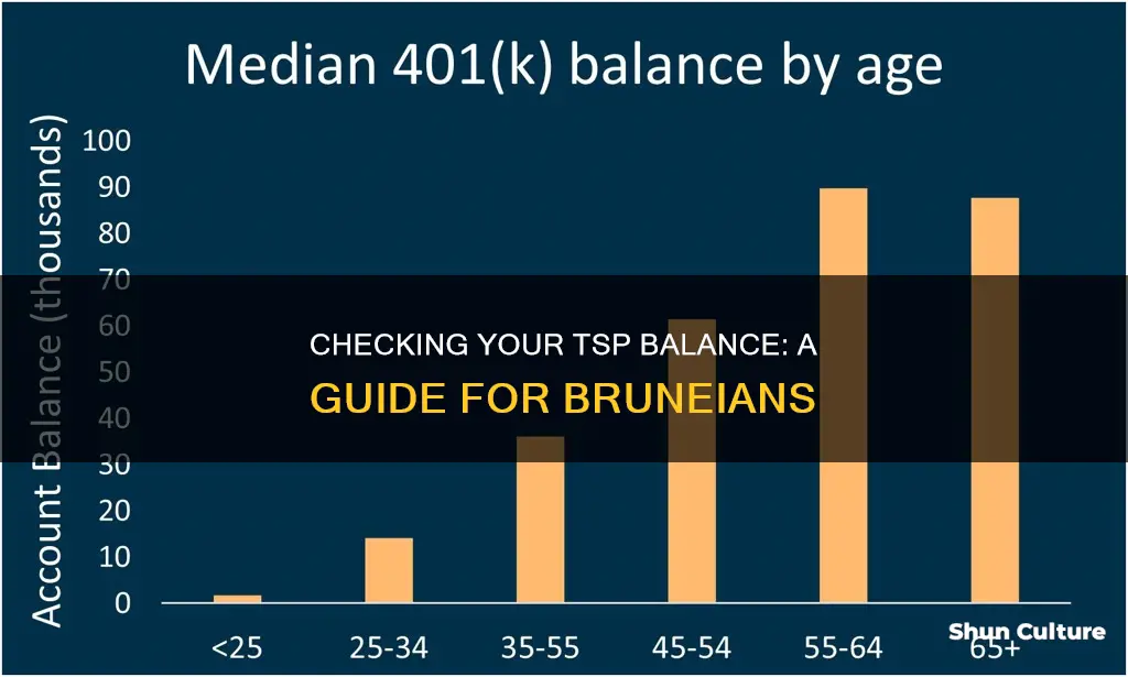 how to check tsp balance brunei