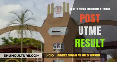 Exploring the Steps to Access Your University of Benin Post-UTME Results