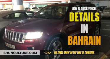 Exploring Vehicle Details: A Guide for Bahrain's Roads