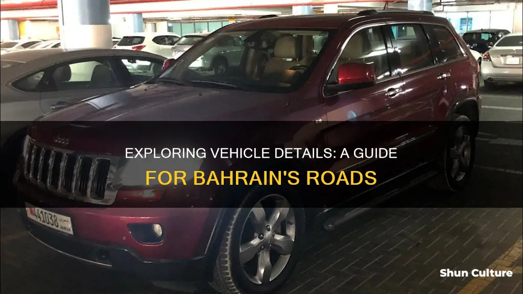 how to check vehicle details in bahrain