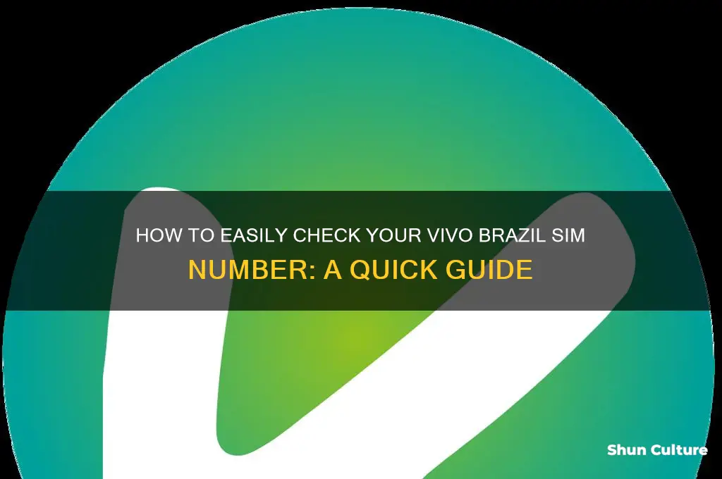 how to check vivo brazil sim number