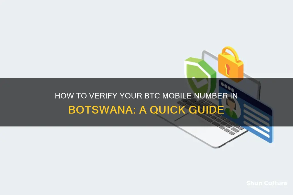 how to check your btc mobile number botswana