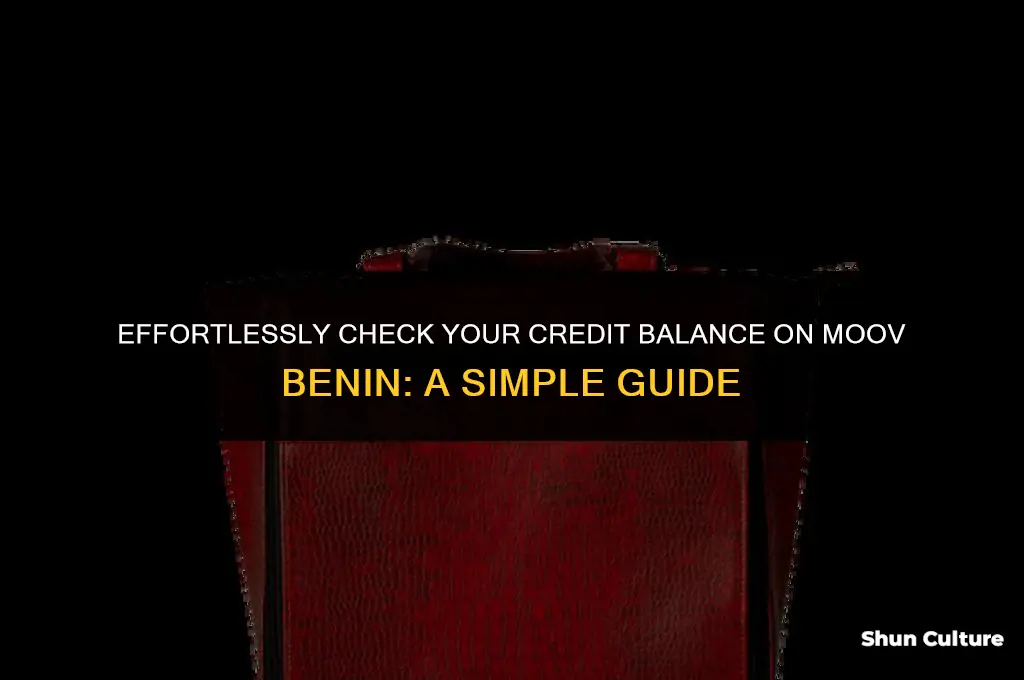 how to check your credit balance on moov benin