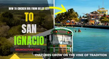 Riding the Chicken Bus: Navigating the Belize City to San Ignacio Route