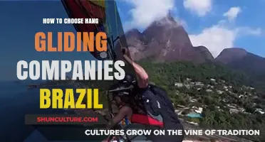 Choosing the Best Hang Gliding Companies in Brazil: A Comprehensive Guide