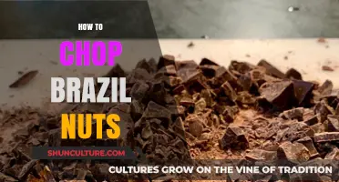 Mastering the Art of Chopping Brazil Nuts: Tips and Techniques
