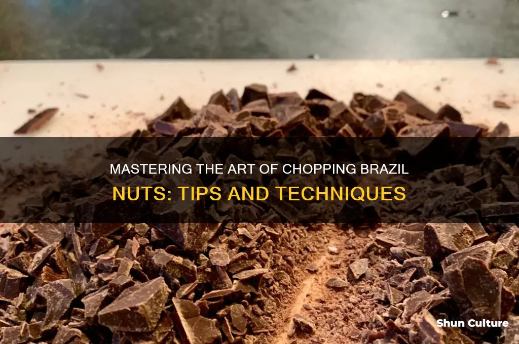 how to chop brazil nuts