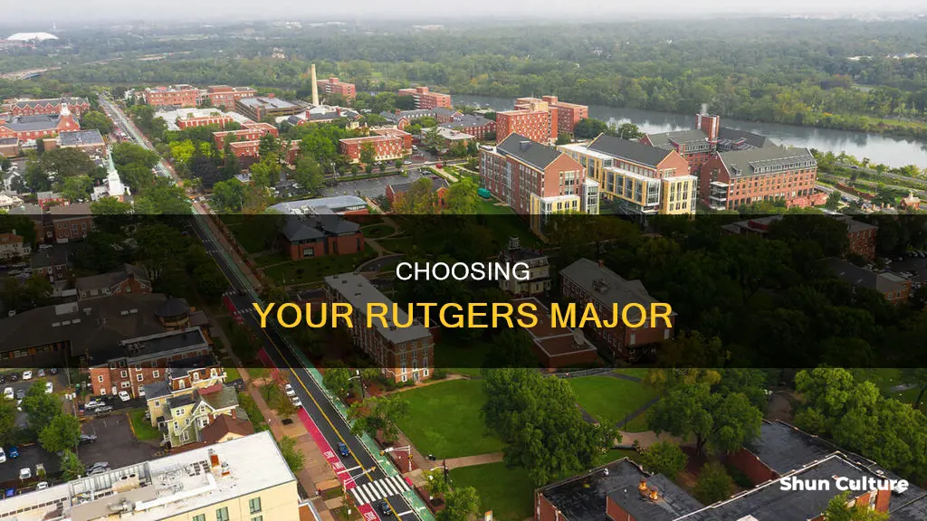 how to chose what major at rutgers new brunswick