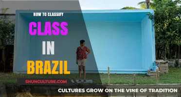 Understanding Brazil's Social Class System: A Comprehensive Classification Guide
