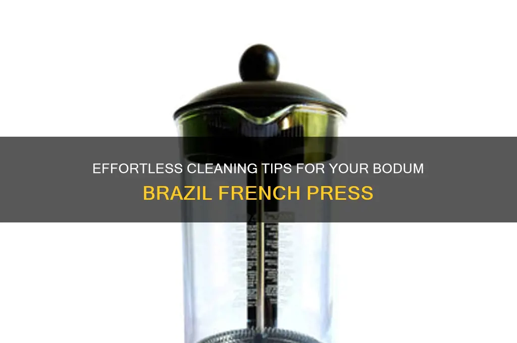 how to clean bodum brazil french press
