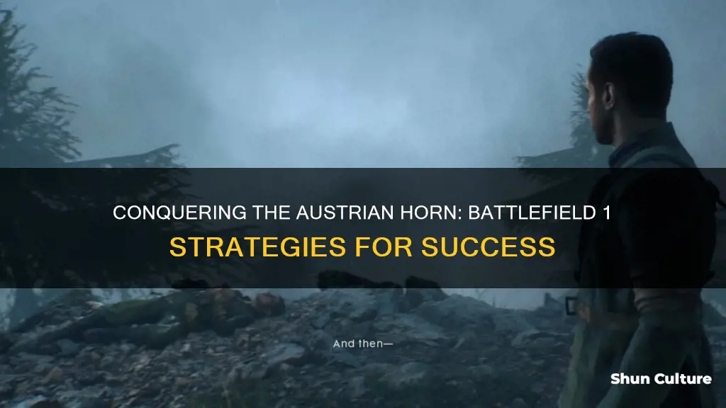 how to clear austrian horn battlefield 1