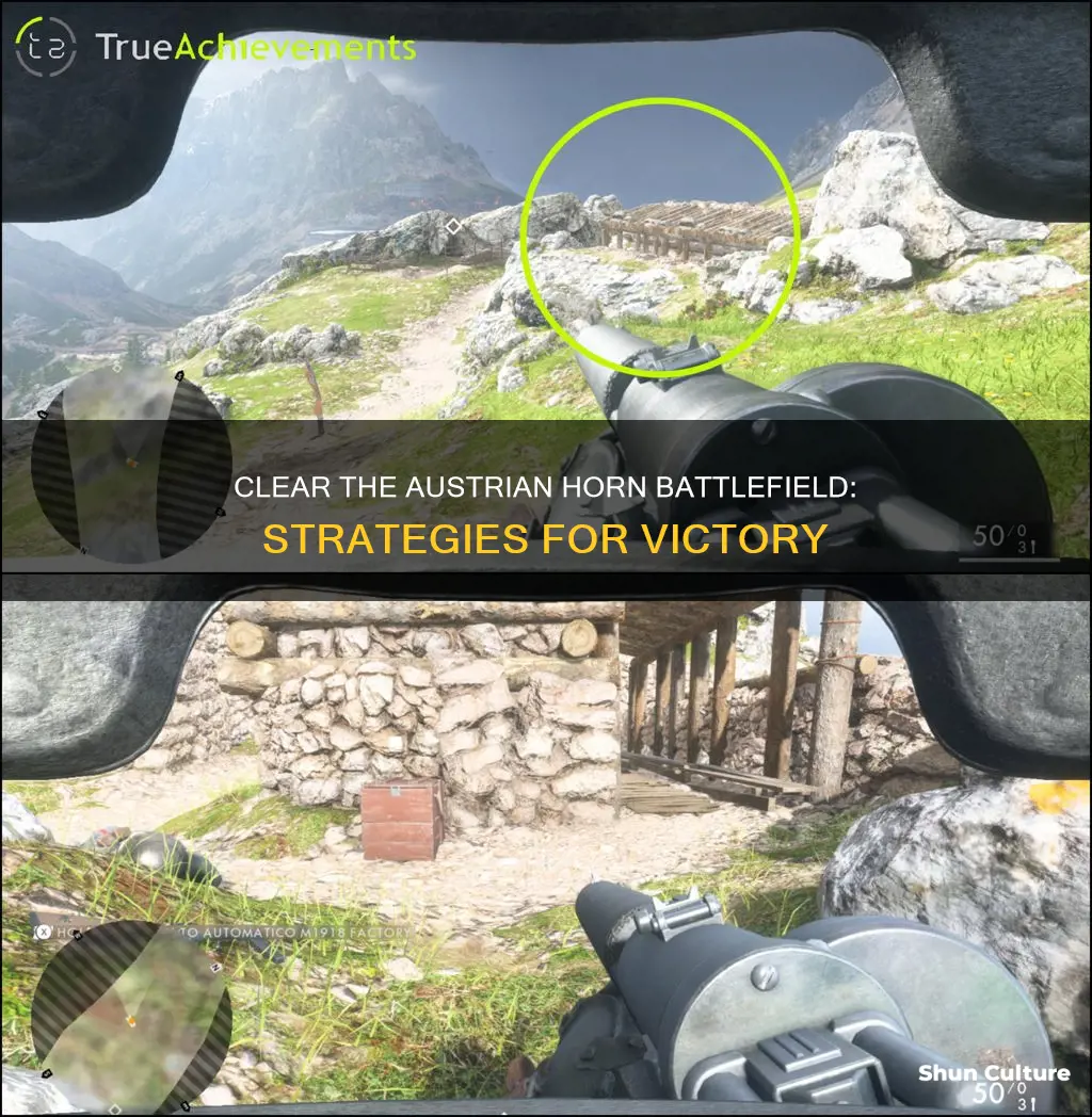 how to clear austrian horn battlefield 1