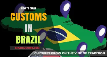 Navigating Brazil Customs: A Step-by-Step Guide to Smooth Clearance