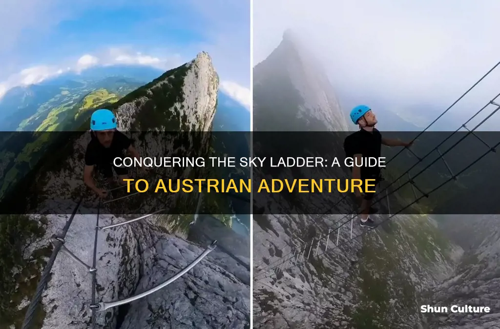 how to climb sky ladder austria