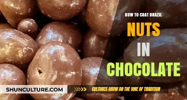Easy Chocolate-Coated Brazil Nuts Recipe: A Sweet Crunchy Treat