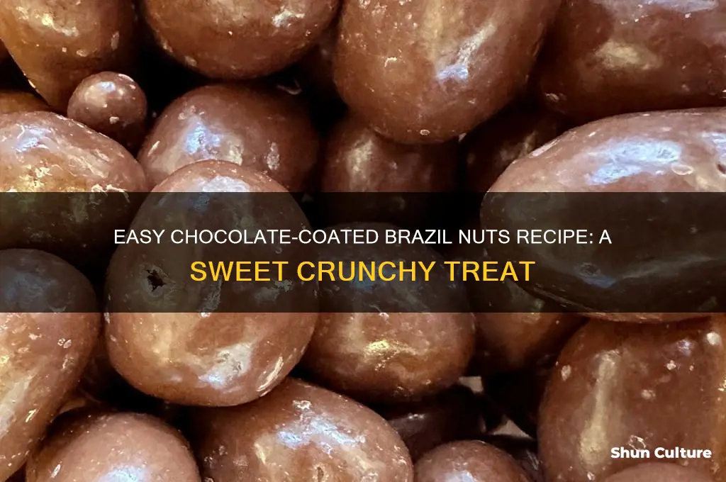 how to coat brazil nuts in chocolate