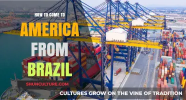 Moving to the USA: A Brazilian's Guide to Relocating to America