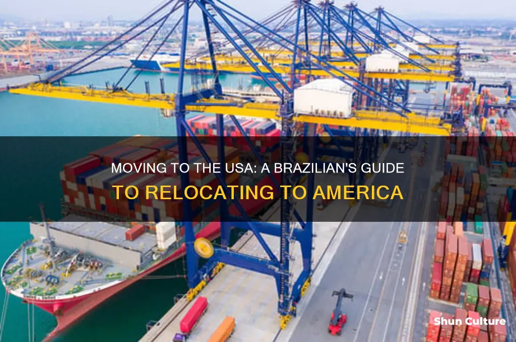 how to come to america from brazil