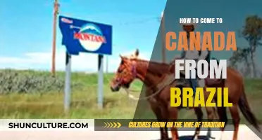 Moving to Canada from Brazil: A Comprehensive Guide for Brazilians