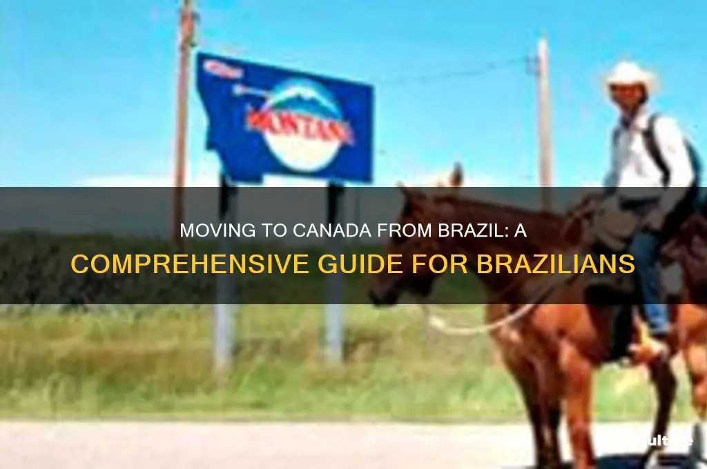 how to come to canada from brazil