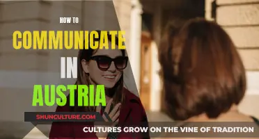 Mastering Austrian Communication: Tips for Effective Conversations